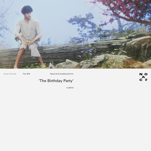 The Birthday Party_poster_image