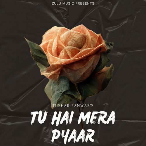 Tu Hai Mera Pyaar