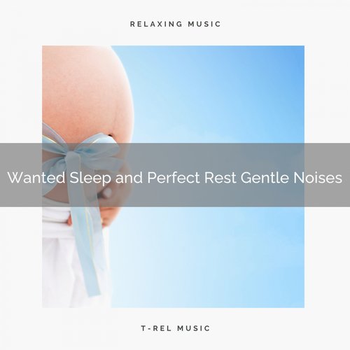 ! ! ! ! ! ! Wanted Sleep and Perfect Rest Gentle Noises_poster_image