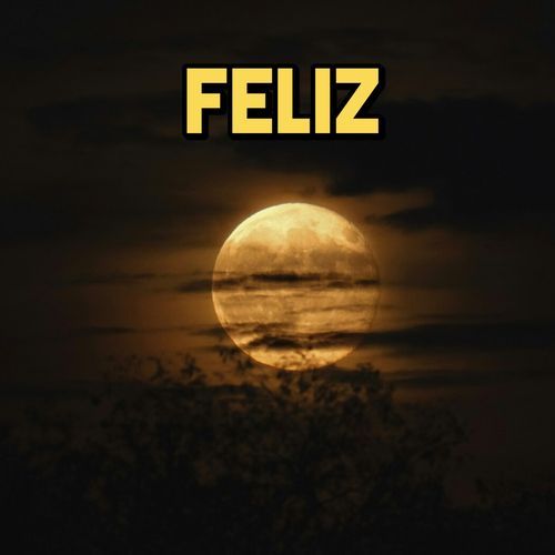 feliz cover art