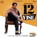 12 Vise - Remix