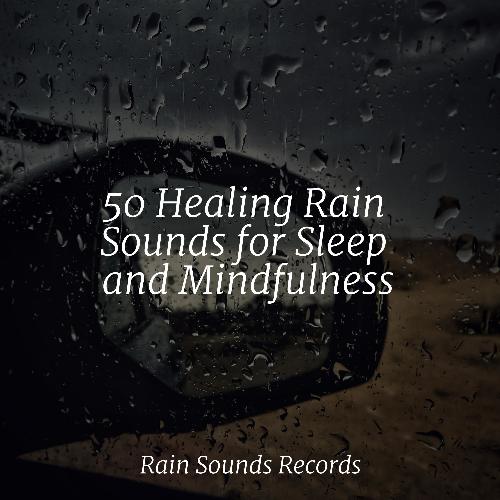 50 Healing Rain Sounds for Sleep and Mindfulness