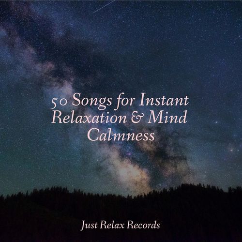 50 Songs for Instant Relaxation & Mind Calmness