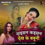 Aisan Kaisan Dekh Ke Babuni (Lofi Mix)