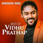 Best Of Vidhu Prathap