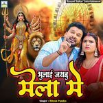 Bhulaai Jaibu Mela Me