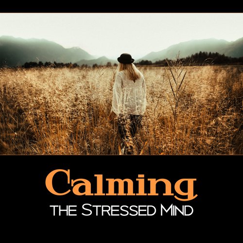 Calming the Stressed Mind – 111 Relaxing Songs, Panic Attacks Relief, Stop Worrying, Optimistic Music, Mood Improvement, Positive Attitude, Social Anxiety Help