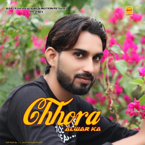 Chhora Alwar Ka_poster_image