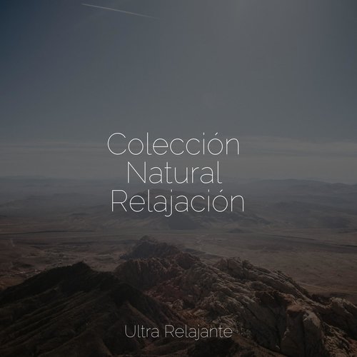 Mantra Meditative cover art