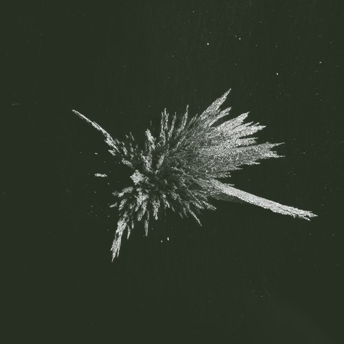 Dolores cover art