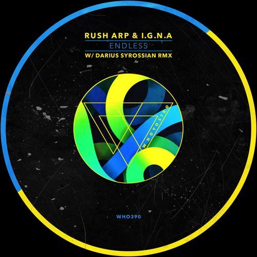 Endless (Darius Syrossian Remix) cover art