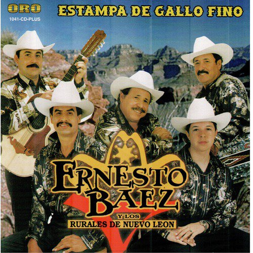Millonario de Amor cover art