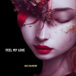 Feel My Love