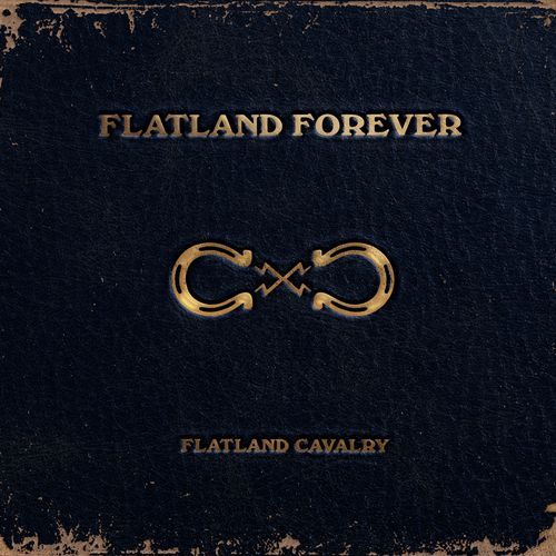 Flatland Forever_poster_image