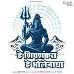 Hey Shiv Shankra Hey Bholenatha