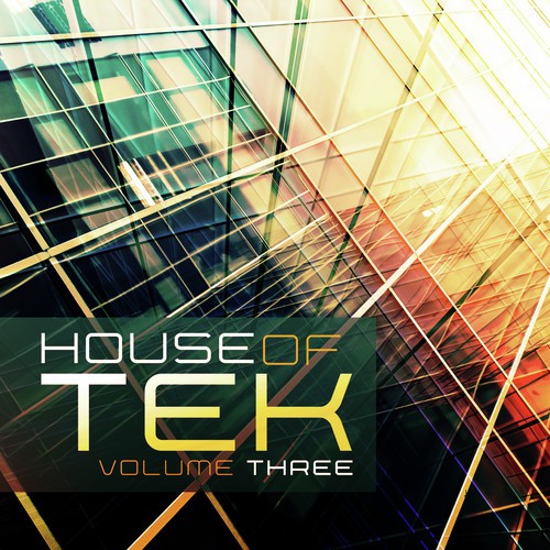 House of Tek, Vol. 3