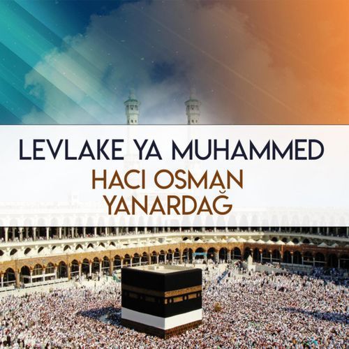 Geliyor Mehdinin Sesi cover art