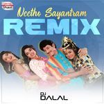 Neetho Sayantram Official Remix (From "Amma Donga")