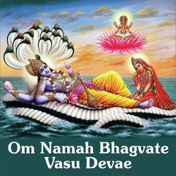 Om Namah Bhagvate Vasu Devae