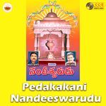 Pedakakani Nandeeswarudu