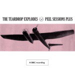 Ha Ha I'm Drowning (BBC Session Peel Plus 1979)