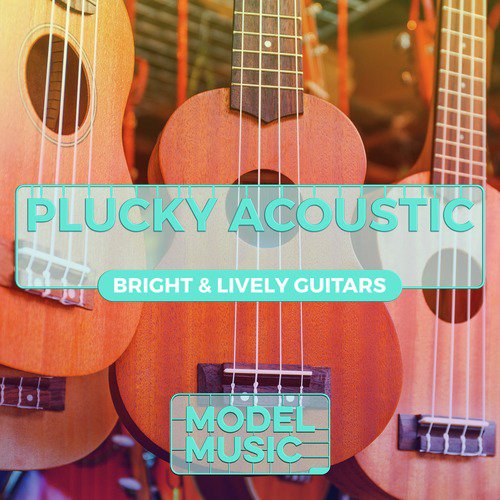 Plucky Acoustic: Bright & Lively Guitars