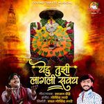 Yedu Tujhi Lagali Savay artwork