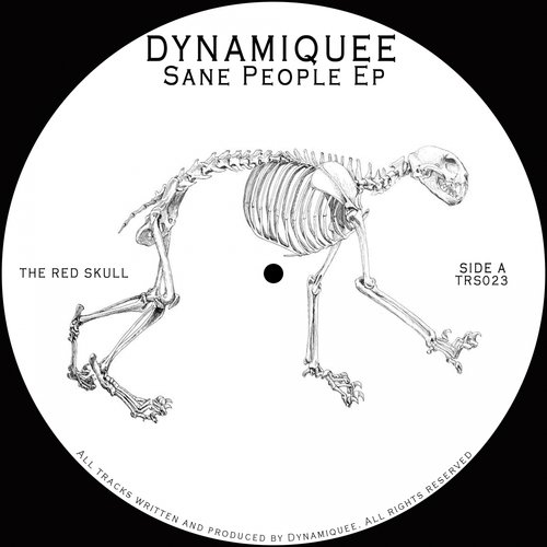 Sane People (Original Mix) cover art