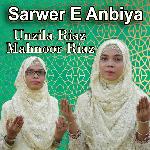 Sarwer E Anbiya