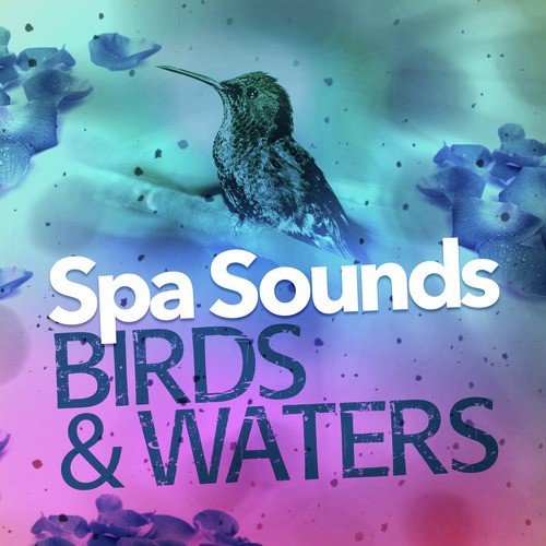 Spa Sounds - Birds & Waters