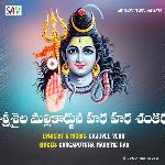 Srisaila Mallikarjuna Hara Hara Shankara