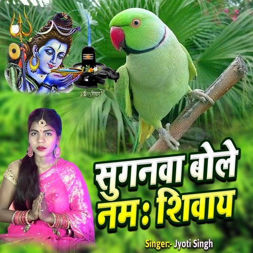 Suganava Bole Namah Shivay
