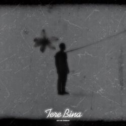 Tere Bina