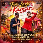 Teri Larje Kamar
