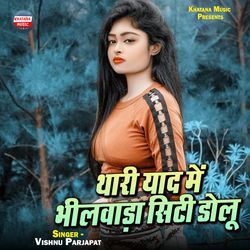 Thari Yad Me Bhilwada City Dolu