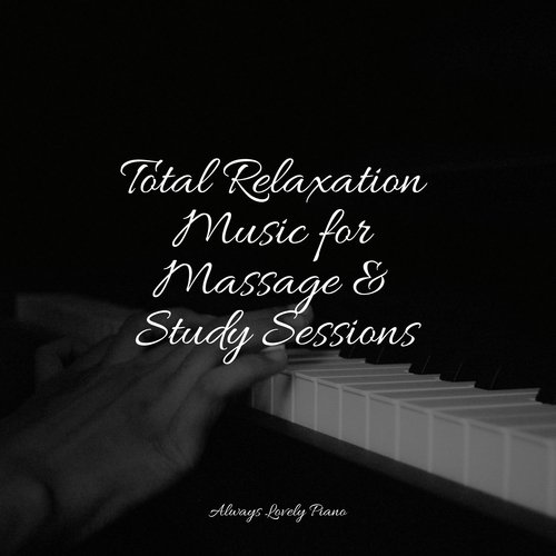 Total Relaxation Music for Massage & Study Sessions