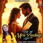 Aaye Ho Meri Zindagi Mein