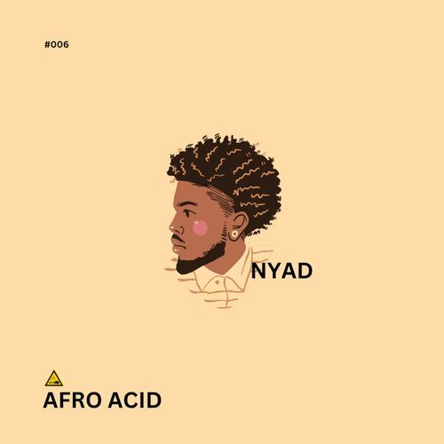 Afro Acid_poster_image