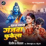 Dhay Dhay Ganjwa Fukela