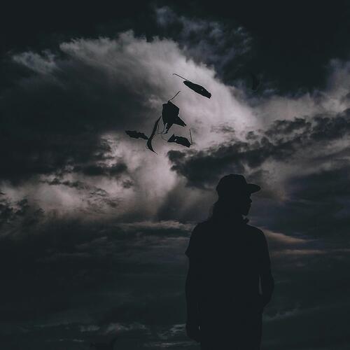 বাচিয়ে দিয়েছেন আমায়