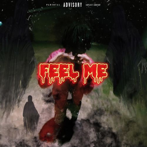 Feel Me cover art