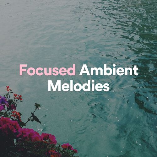 Focused Ambient Melodies, Pt. 19