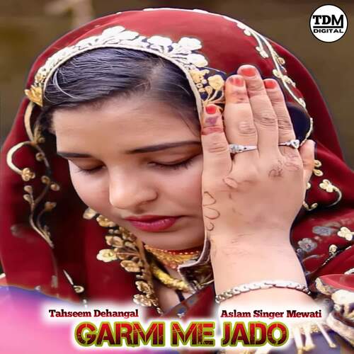 GARMI ME JADO_poster_image