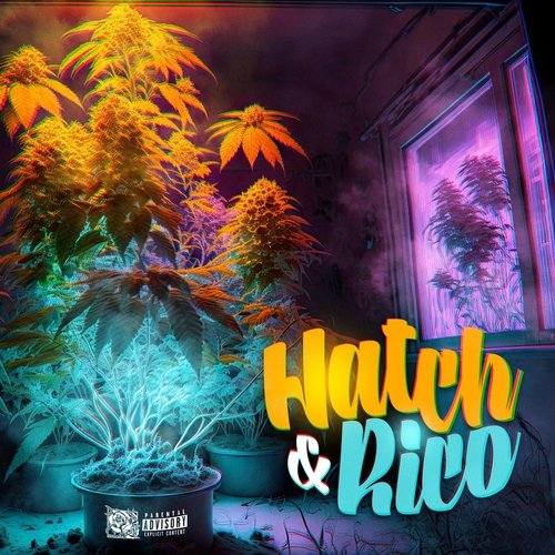 Hatch & Rico
