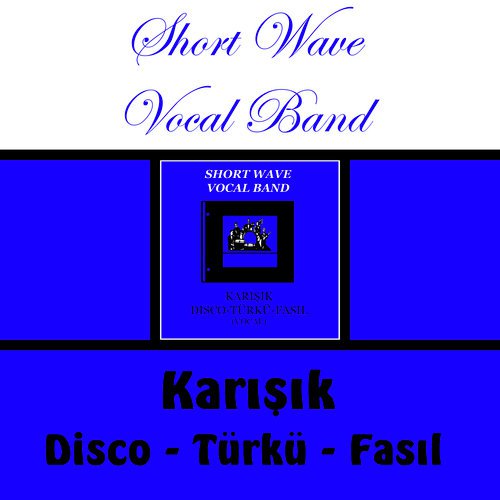 Karisik Disco - Turku - Fasil (Vocal)