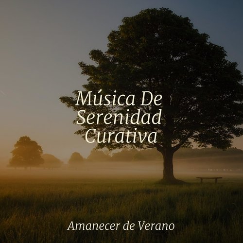 Música De Serenidad Curativa