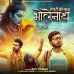 Nathon Ke Nath Bholenath