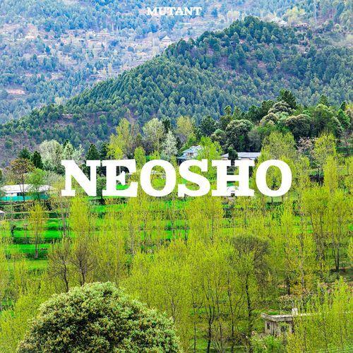 Neosho