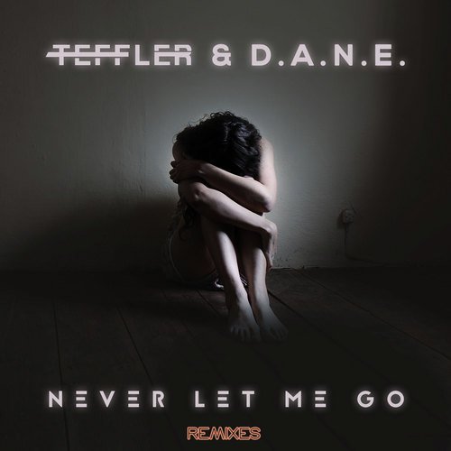 Never Let Me Go (Remixes)_poster_image