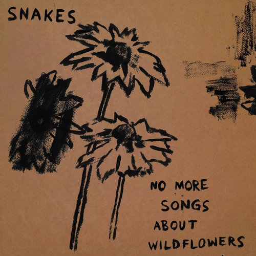 No More Songs About Wildflowers